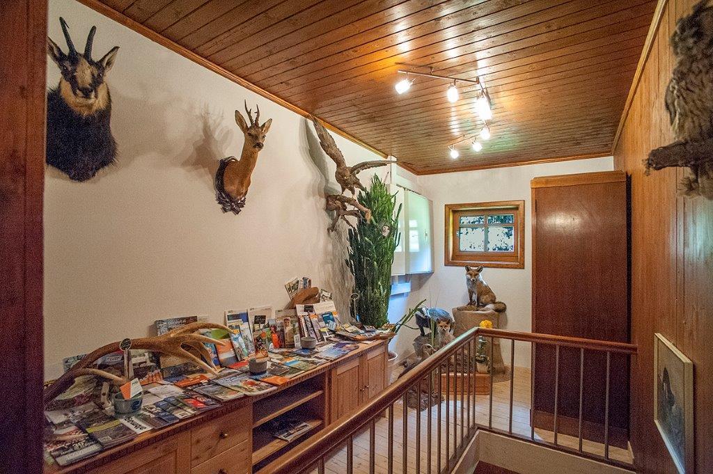 Albler-Nest Auf Hofgut Kuche Apartman Burladingen Kültér fotó